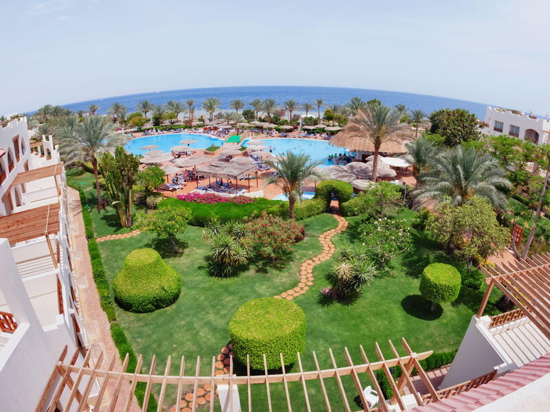 Albatros Royal Grand Sharm (Adult Only 16+) 325893