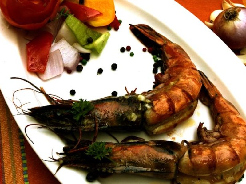 Aldeia Santa Rita 113293