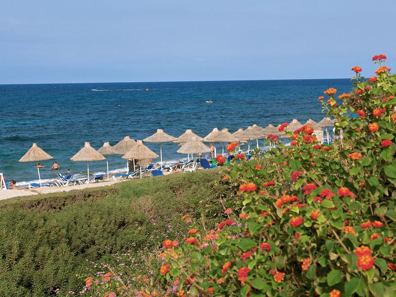 Aldemar Cretan Village 85052