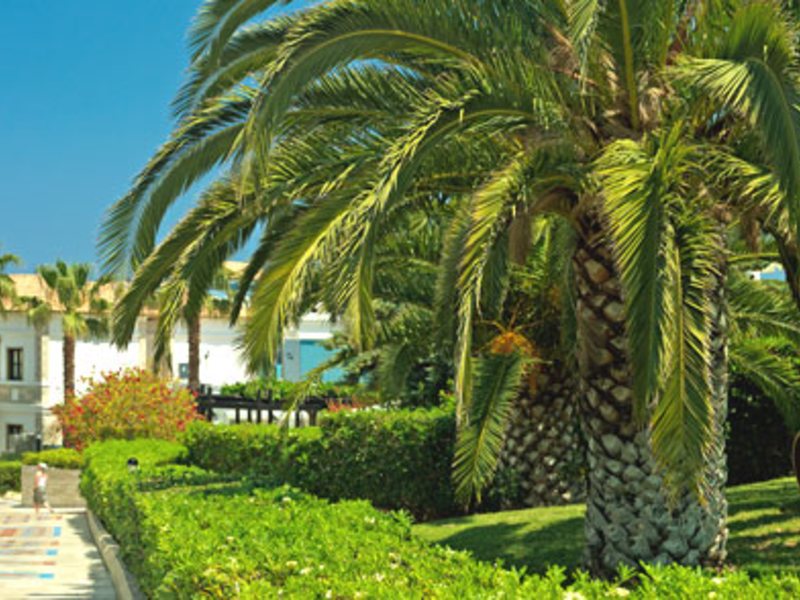 Aldemar Royal Mare Luxury Resort & Thalasso (Aldemar Royal Mare & Suites) 83410