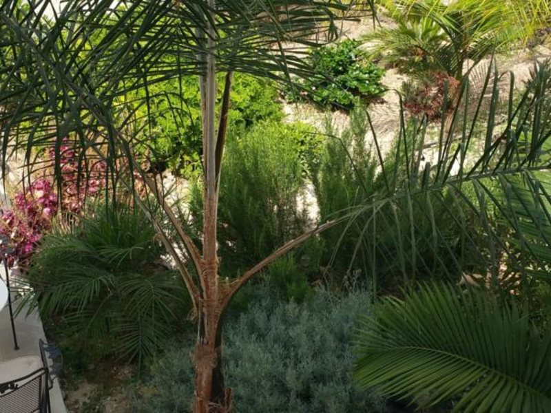 Alecos Hotel Apts 99534