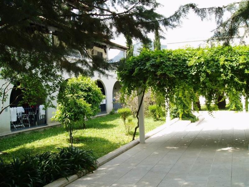 Aleksandar Budva 86194