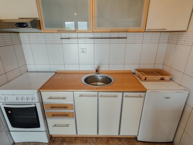 Aleksej Palace 306991