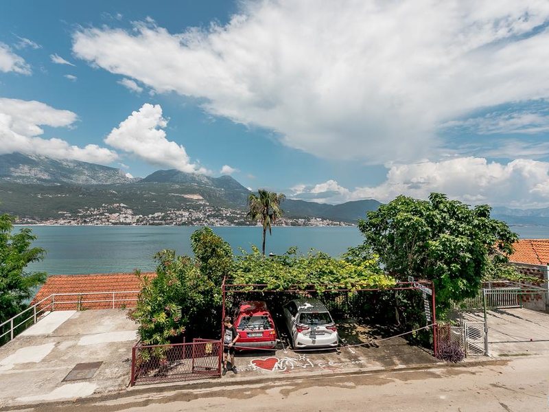 Aleksej Palace 306996