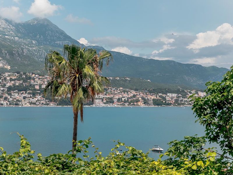 Aleksej Palace 306997