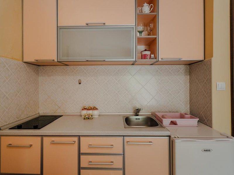 Aleksej Palace 307005