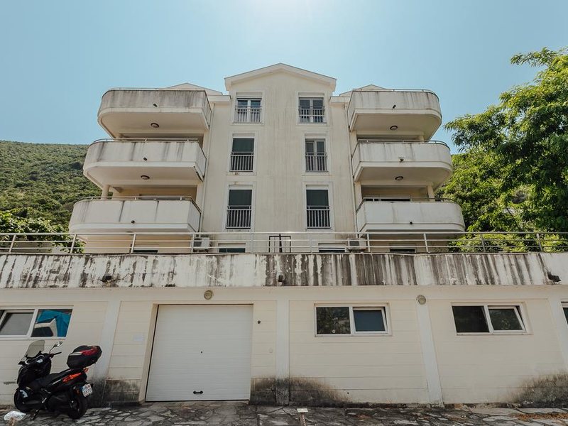 Aleksej Palace 307006