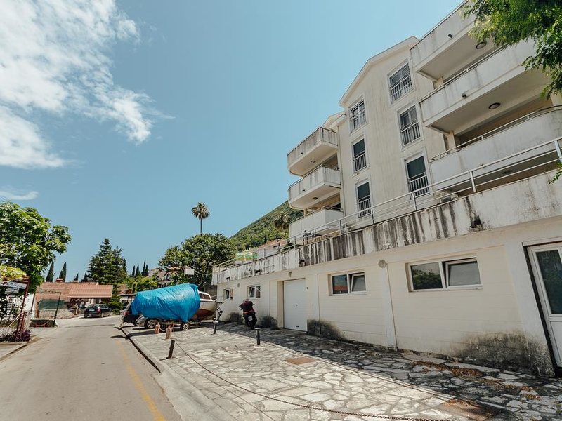 Aleksej Palace 307007