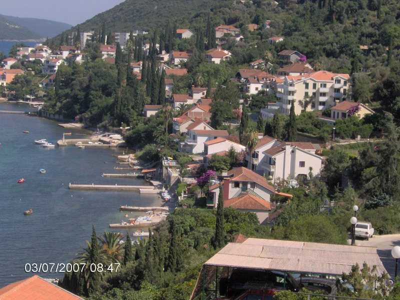 Aleksej Palace 307008