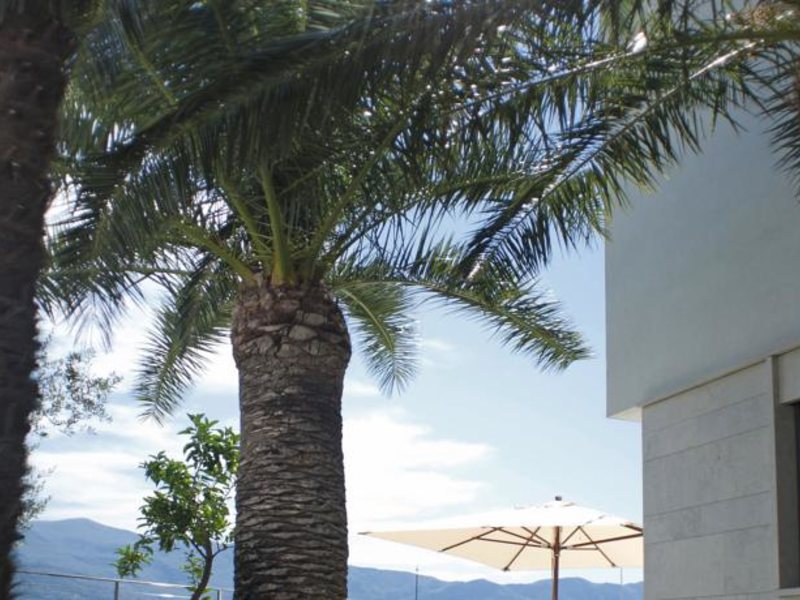 Alexandar Luxury Suites & Spa 70565