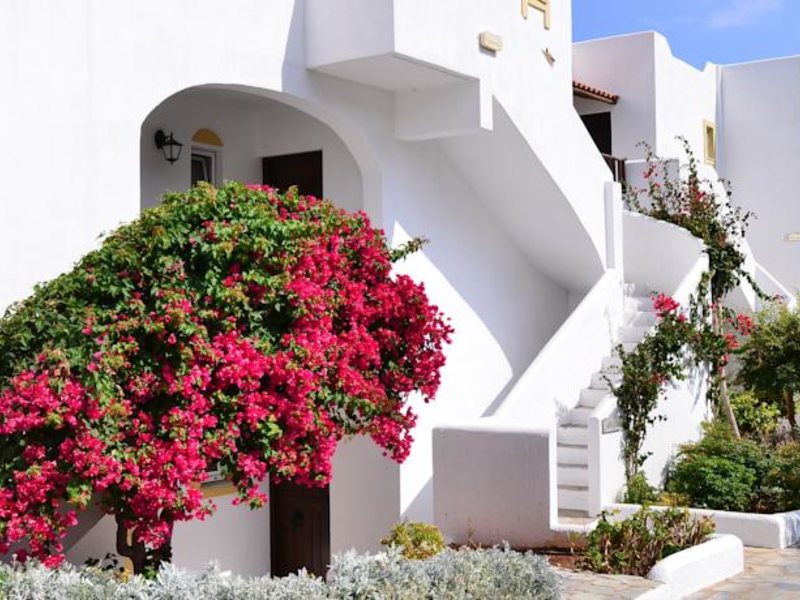 Alexander Beach 101349