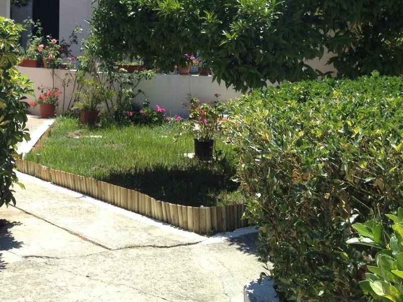 Alexandra Apartments 256556