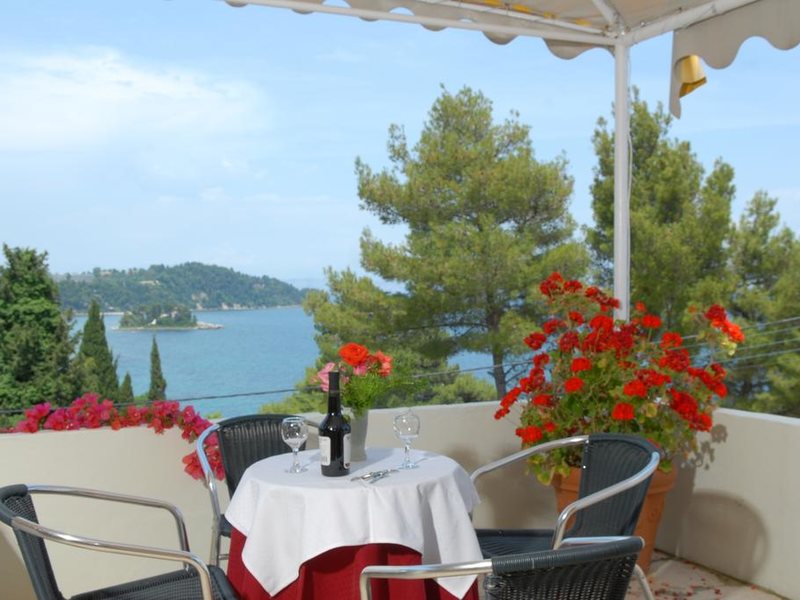 Alexandros Hotel 249088