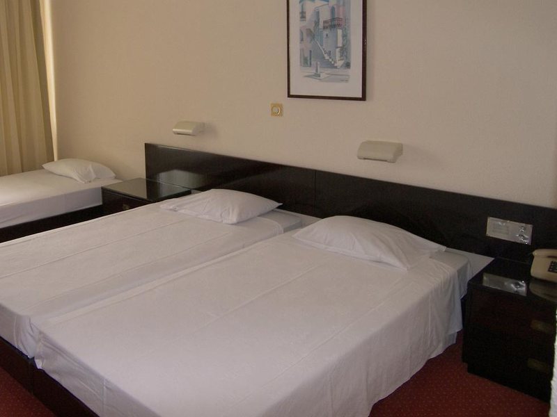 Alexandros Hotel 249104