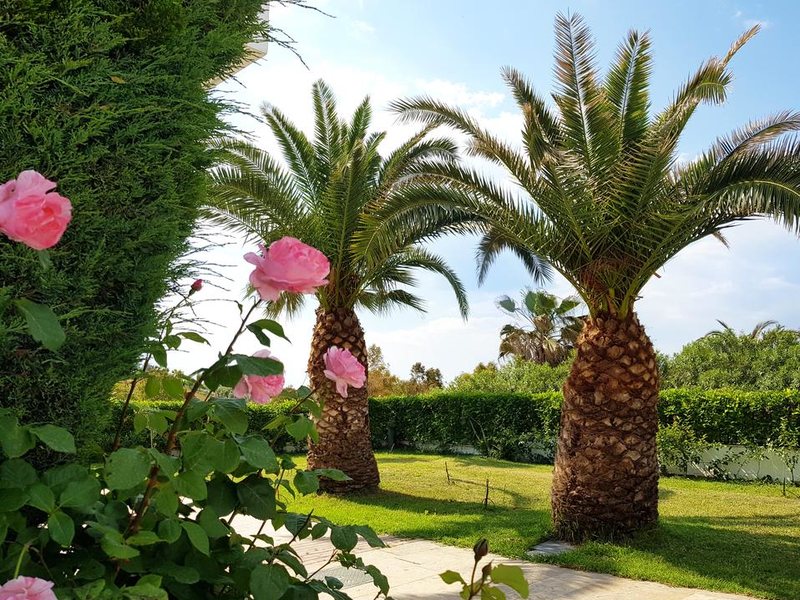 Alexandros Palace Hotel & Suites 249141