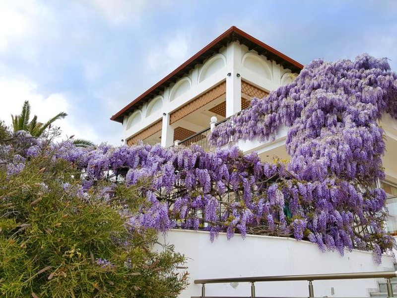 Alexandros Palace Hotel & Suites 249144