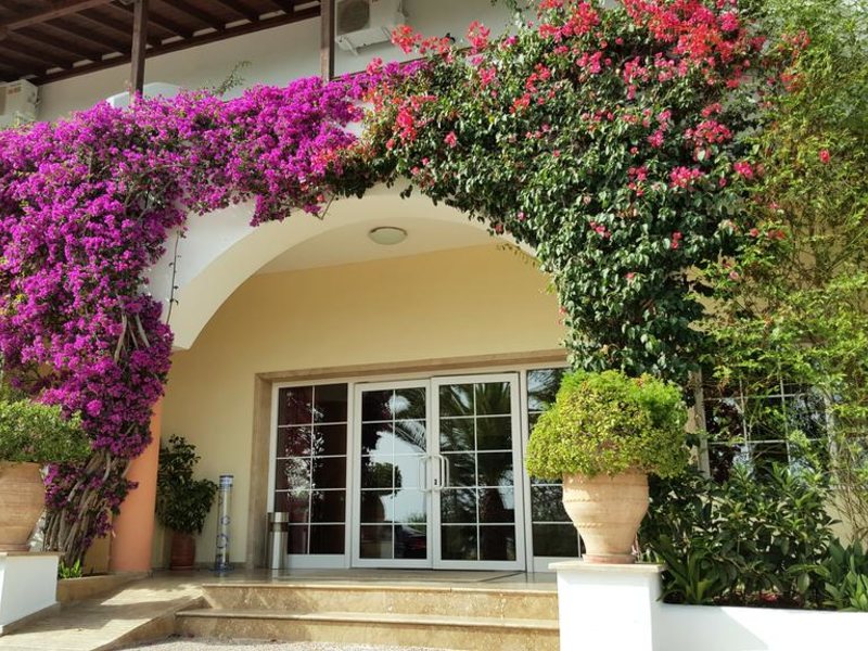 Alexandros Palace Hotel & Suites 249147