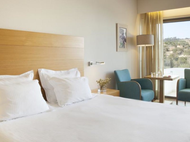 Alion Beach Hotel  204270