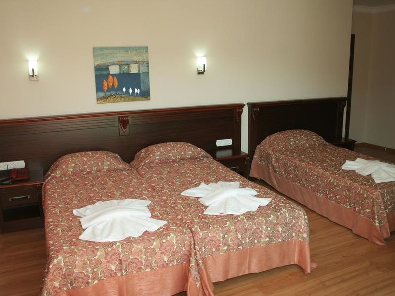Alkan Hotel 176503