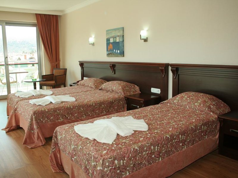 Alkan Hotel 176517