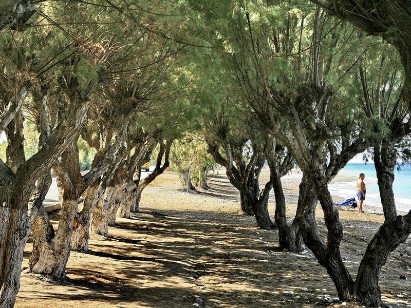 All Senses Ocean Blue Sea Side Resort  282853