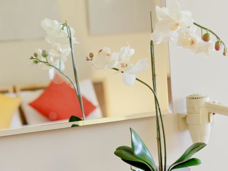 Almond Business Suites Apts 87606