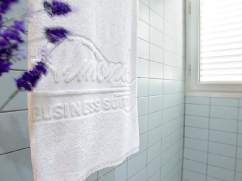 Almond Business Suites Apts 87610