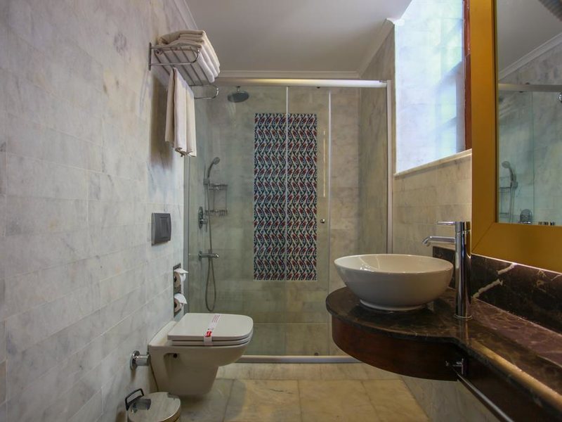 Alp Pasa Boutique Hotel 270948