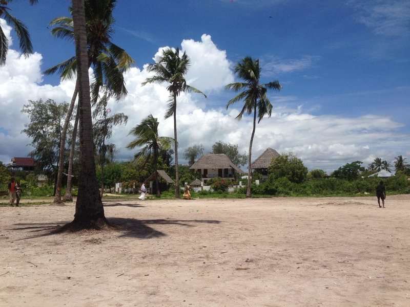 Aluna Beach Lodge 217429