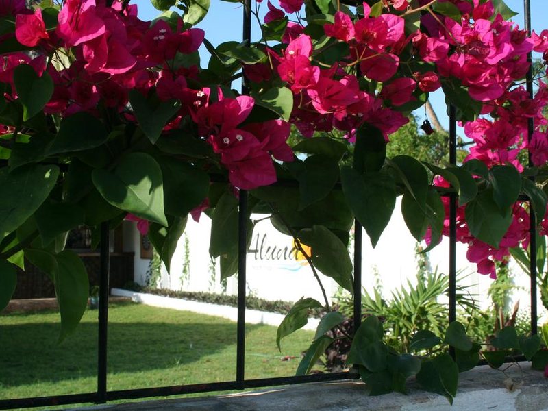 Aluna Beach Lodge 217432