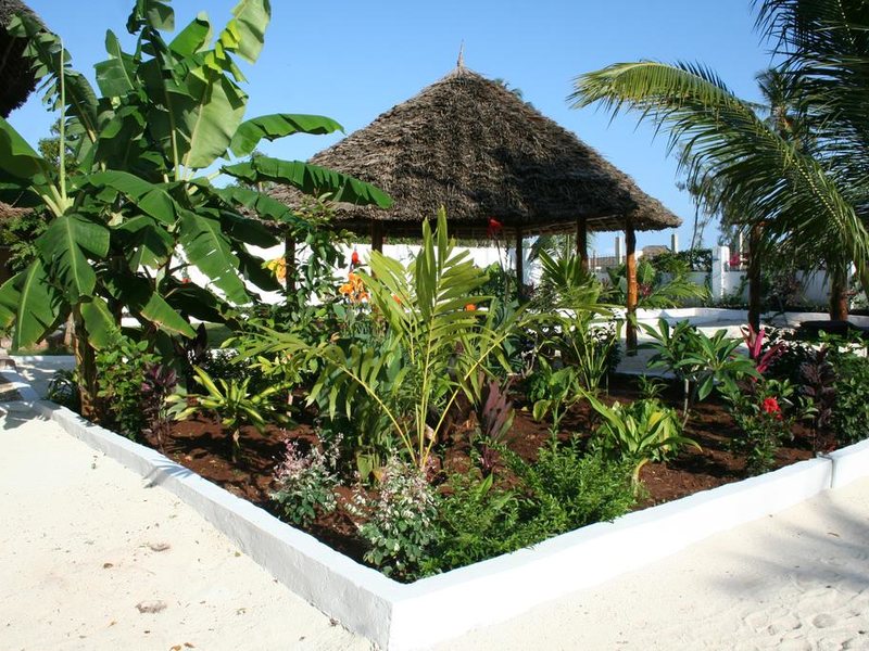 Aluna Beach Lodge 217438