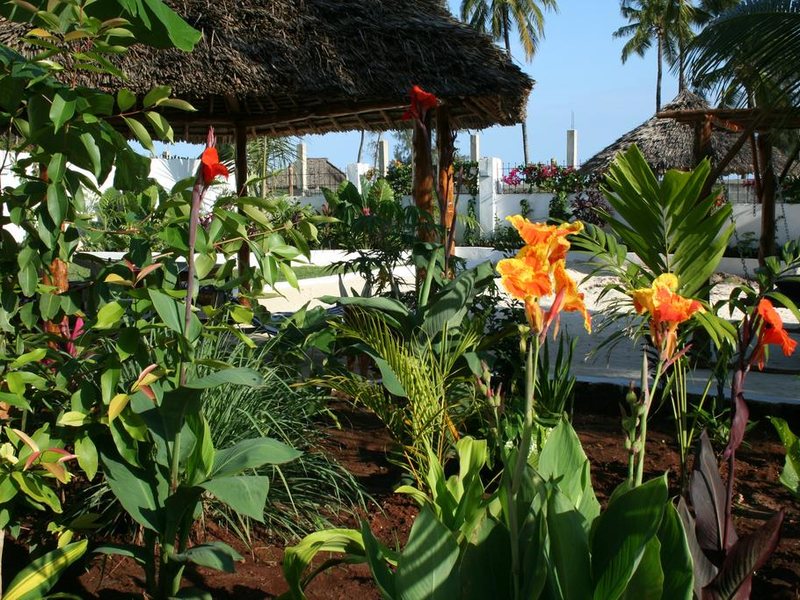 Aluna Beach Lodge 217440