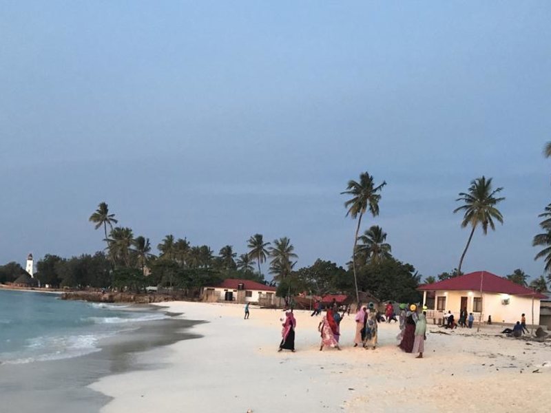 Aluna Beach Lodge 217457