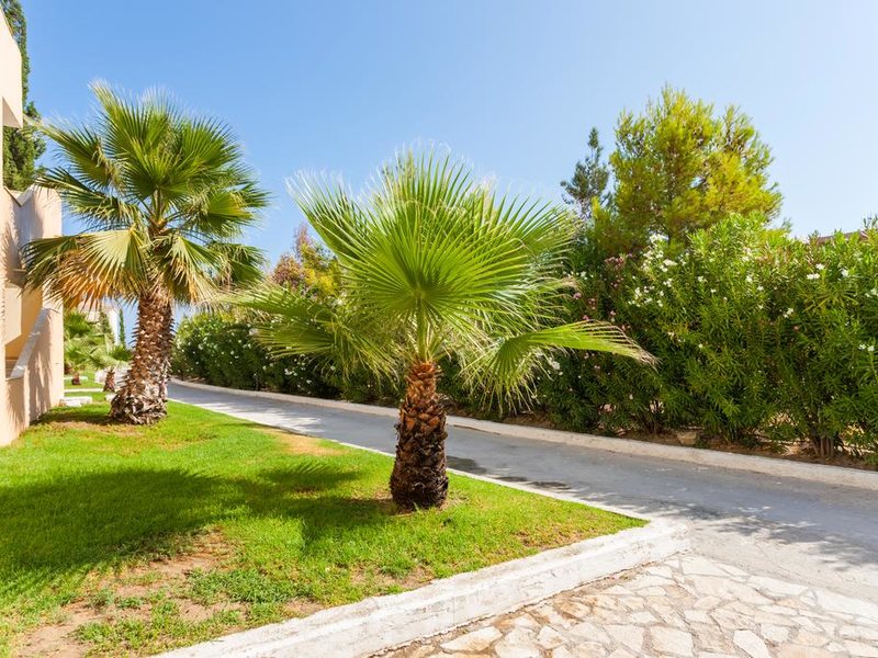 Alykanas Village Hotel 305406