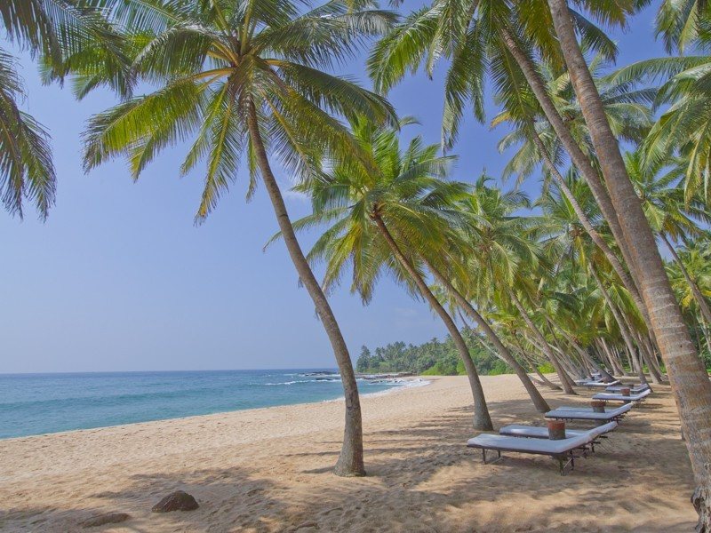 Amanwella Boutique Hotel 111017