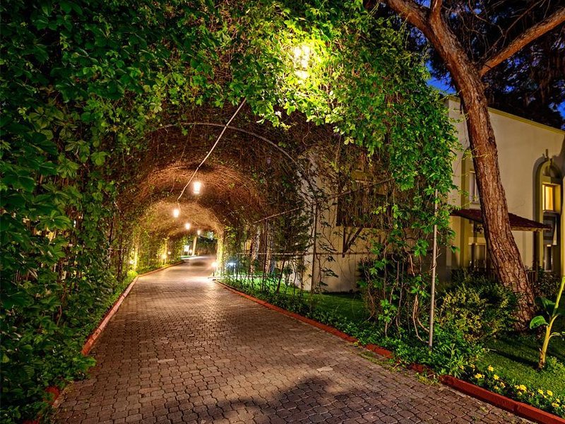 Amara Club Marine Nature 41283