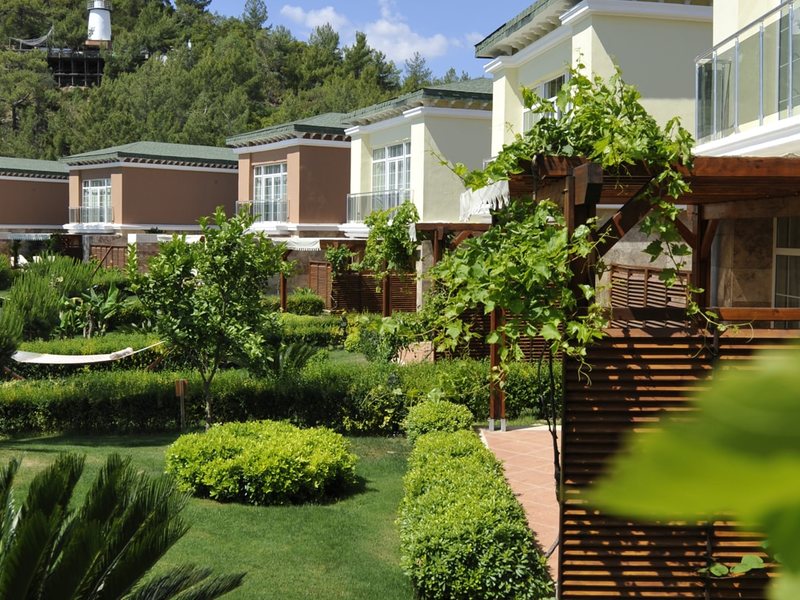 Amara Dolce Vita Luxury 265374