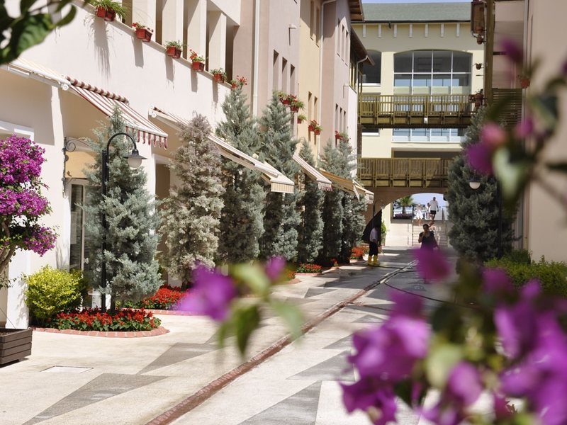 Amara Dolce Vita Luxury 265395