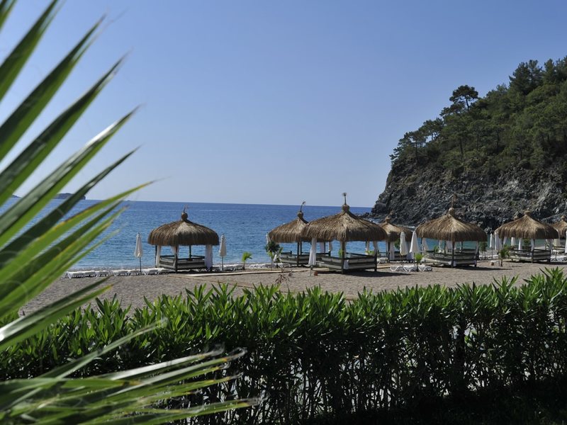 Amara Dolce Vita Luxury 265470