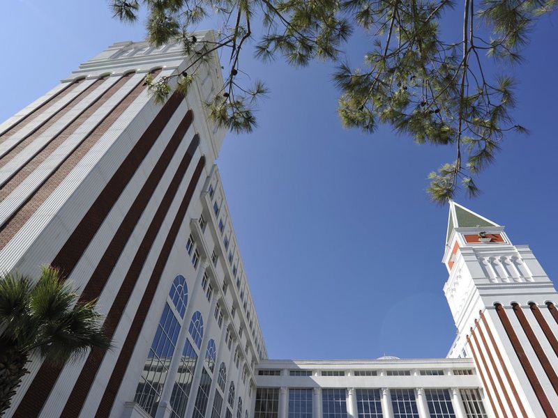 Amara Dolce Vita Luxury 265486