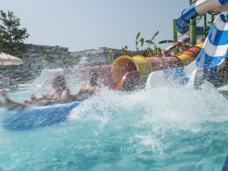 Amara Prestige (ex 93951