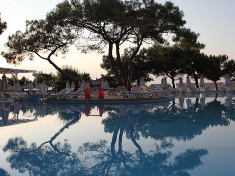 Amara Prestige (ex 93952