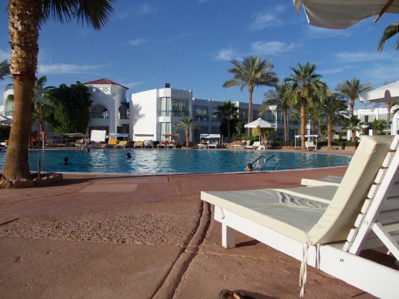 Amarante Garden Palms 121552