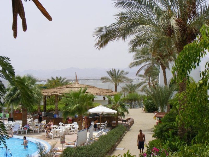 Amarante Garden Palms 121554