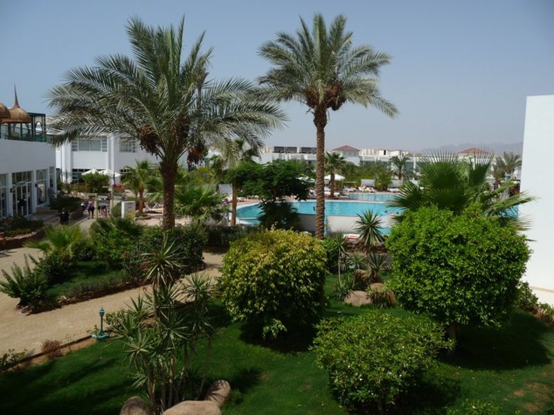 Amarante Garden Palms 121555