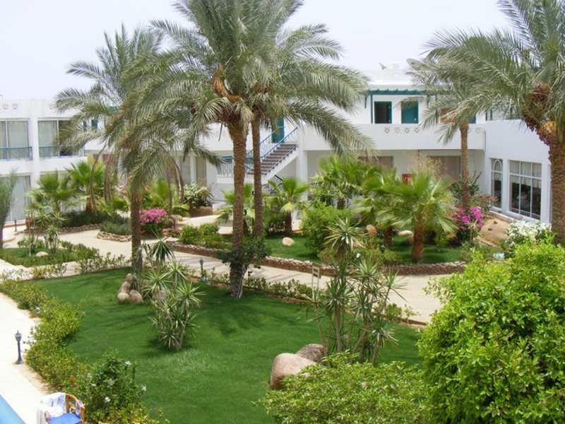 Amarante Garden Palms 121562