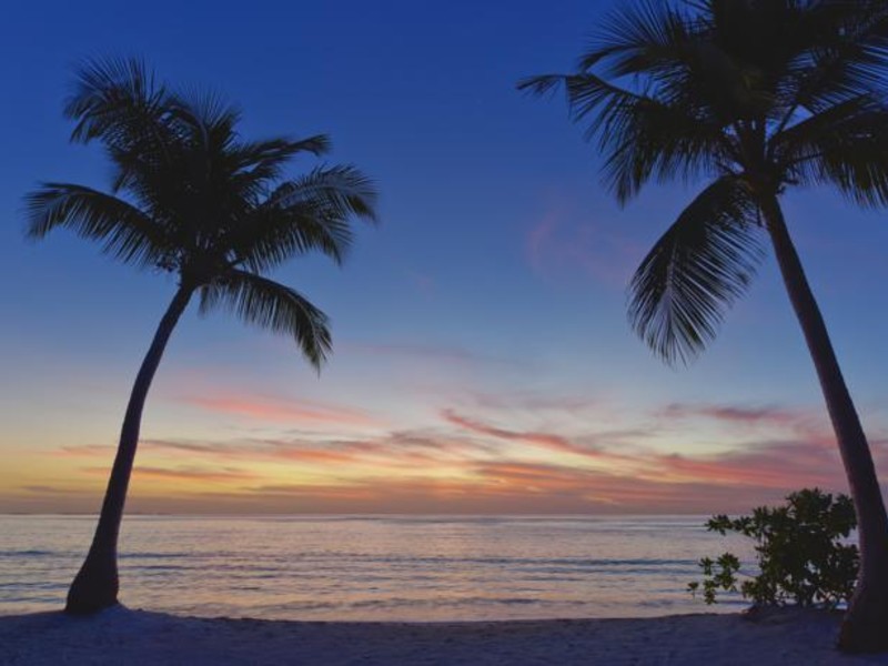 Amari Havodda Maldives 133432