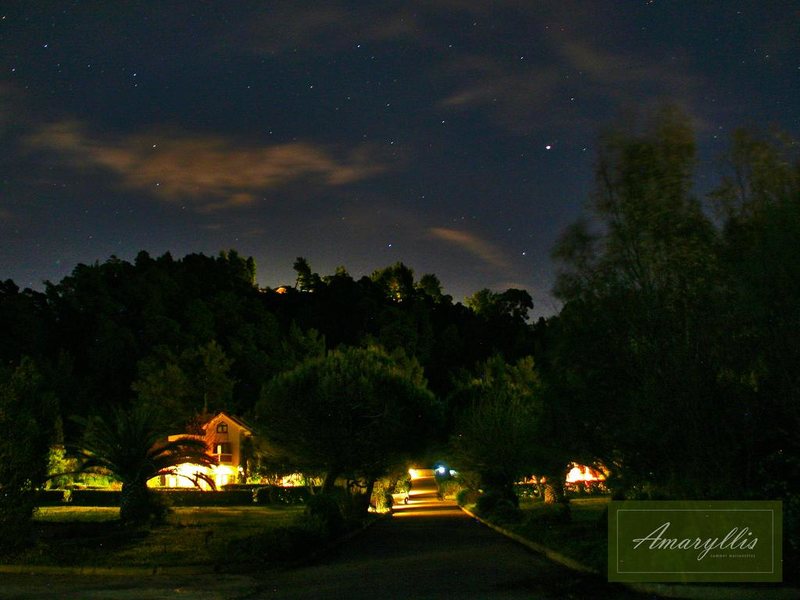 Amaryllis Villa 262735