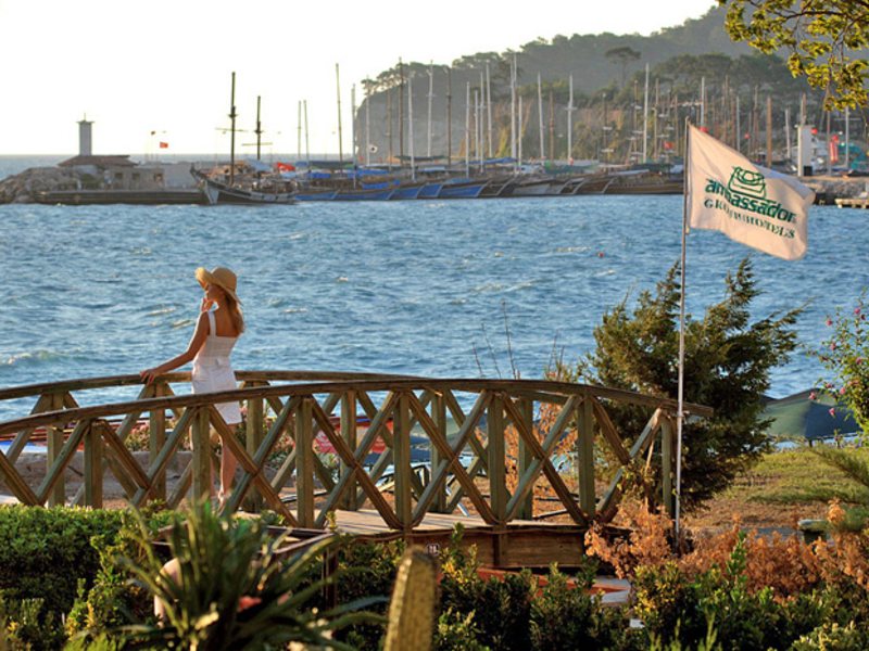 Ambassador Anex 183885