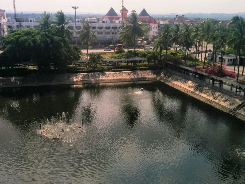 Ambassador Garden Wing 220998